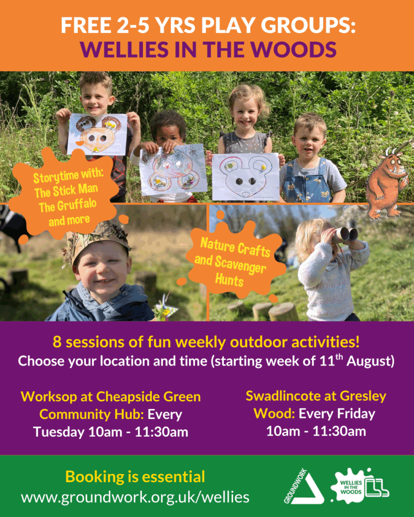 Poster in orange, purple and green, with text about Wellies in the Woods, free play groups for pre-schoolers in Swadlincote and Worksop. Photos of children having fun.