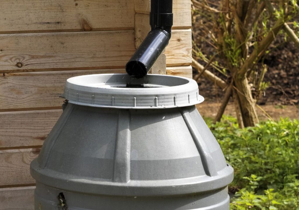 A water butt getting water from a drainpipe