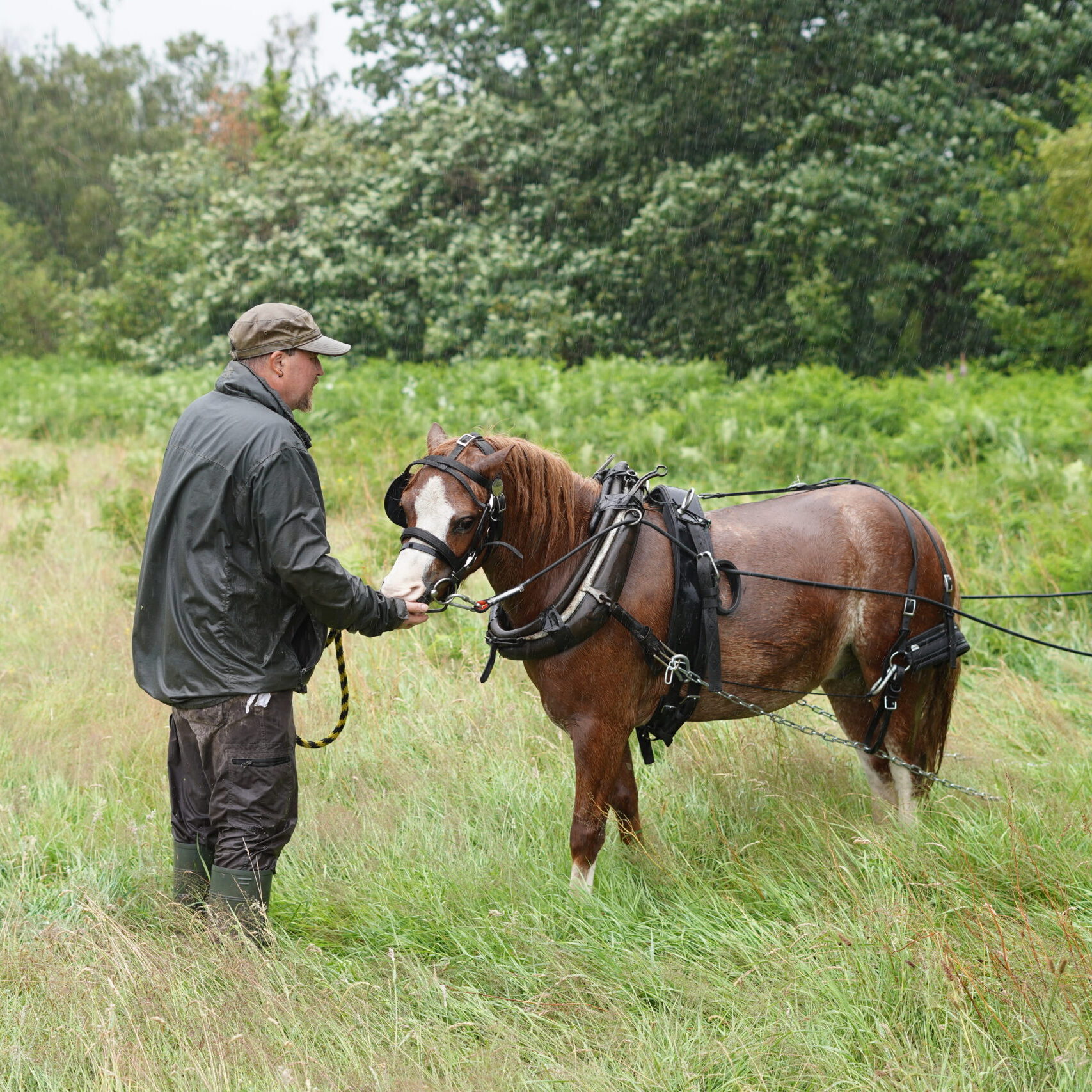 Pony Power Event at Dare Valley Country Park