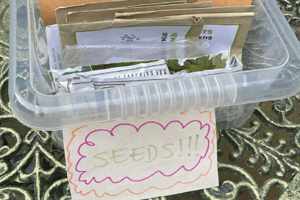 Home made seed packets
