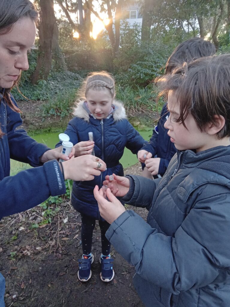 young people in nature torbay