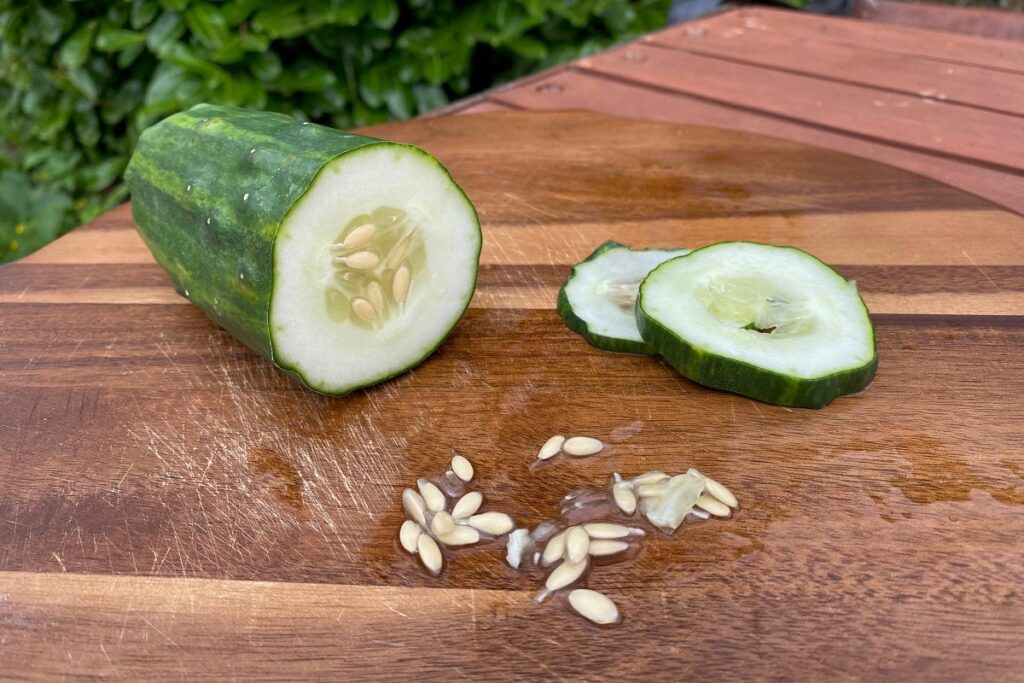 Cucumber with seeds scraped out