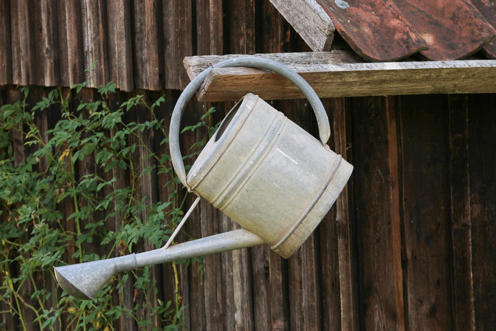 Watering can
