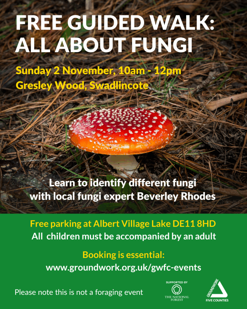 Photo of red and white mushroom. White and yellow text "free guided walk: all about fungi. Sunday 2 November 10am-12pm with local fungi expert Beverley Rhodes". Green block with white and yellow text and logos.