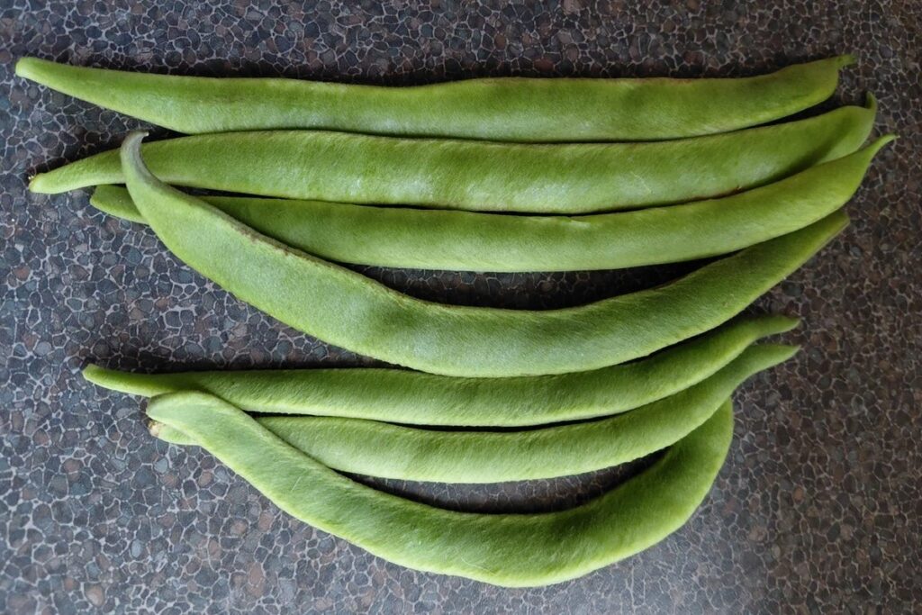 Runner beans