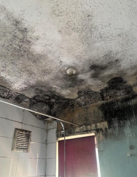 damp mould and condensation effects
