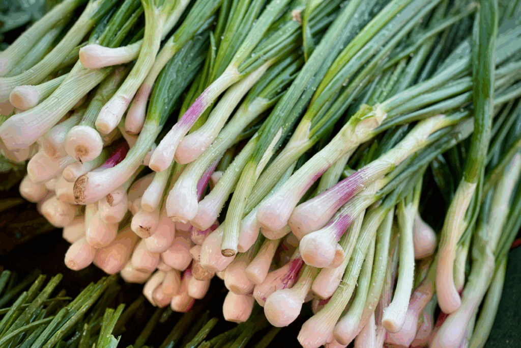 Spring onions
