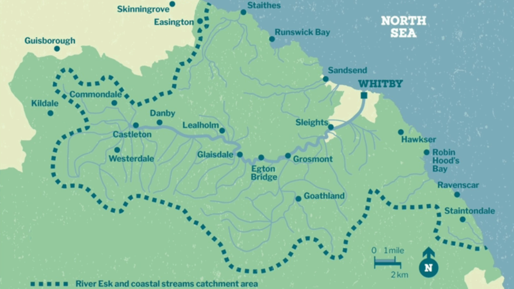 REConnect, map