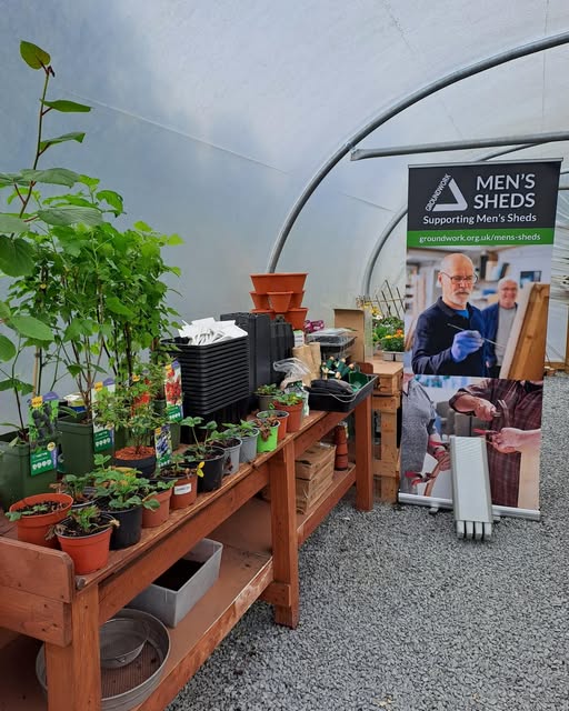A selection of plants growing within a polytunnel, and a "Men's Sheds" pop up sign.