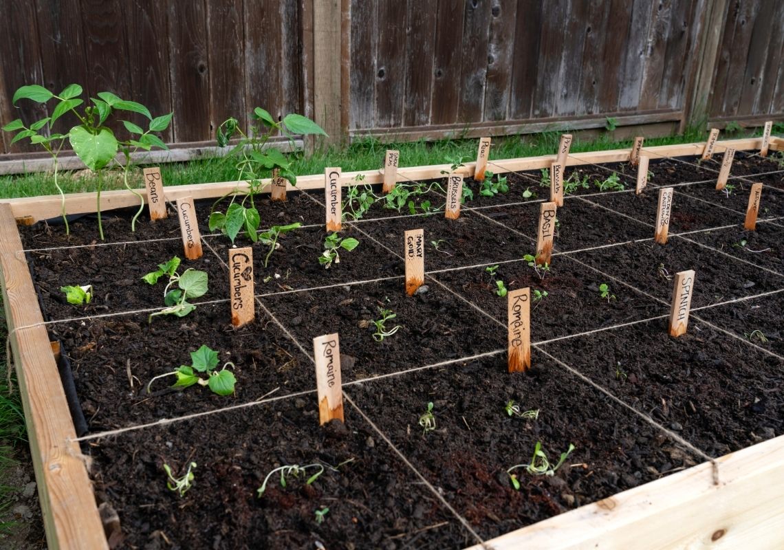 Different types of planters and what's best for you