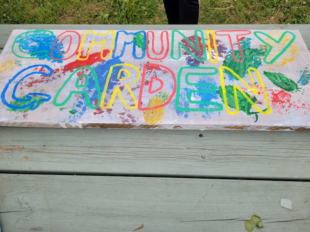 Tailored Learning in County Durham community garden