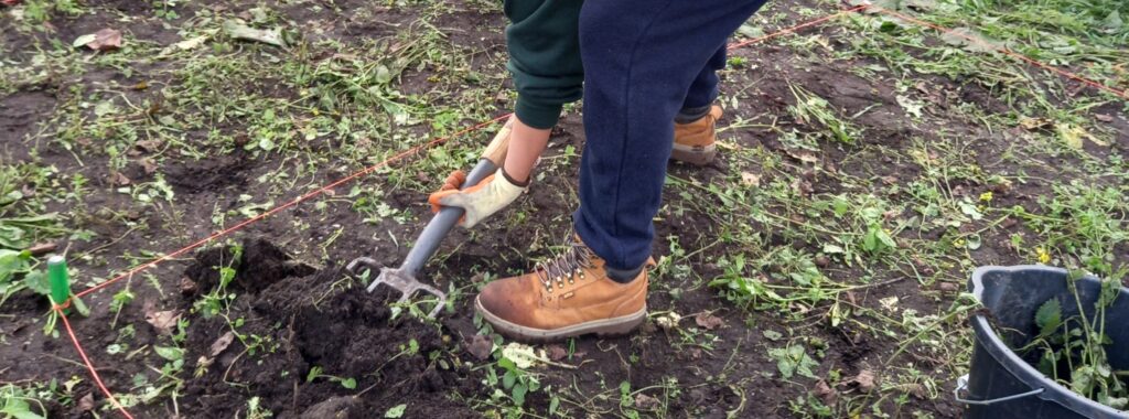 Close up of someone digging