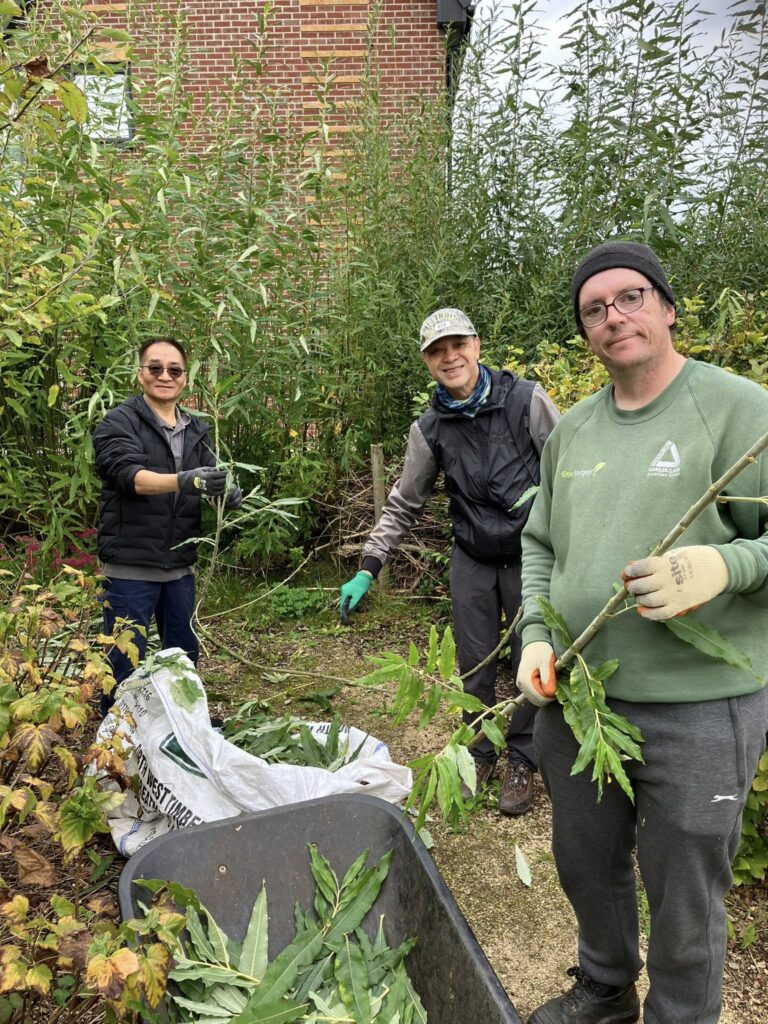 Volunteers digging the raised beds