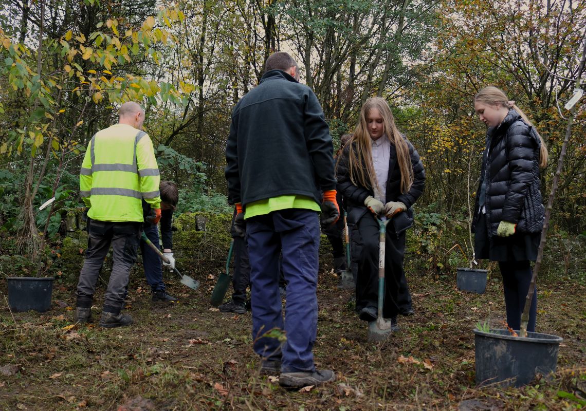Tree planting as part of the workplace safari