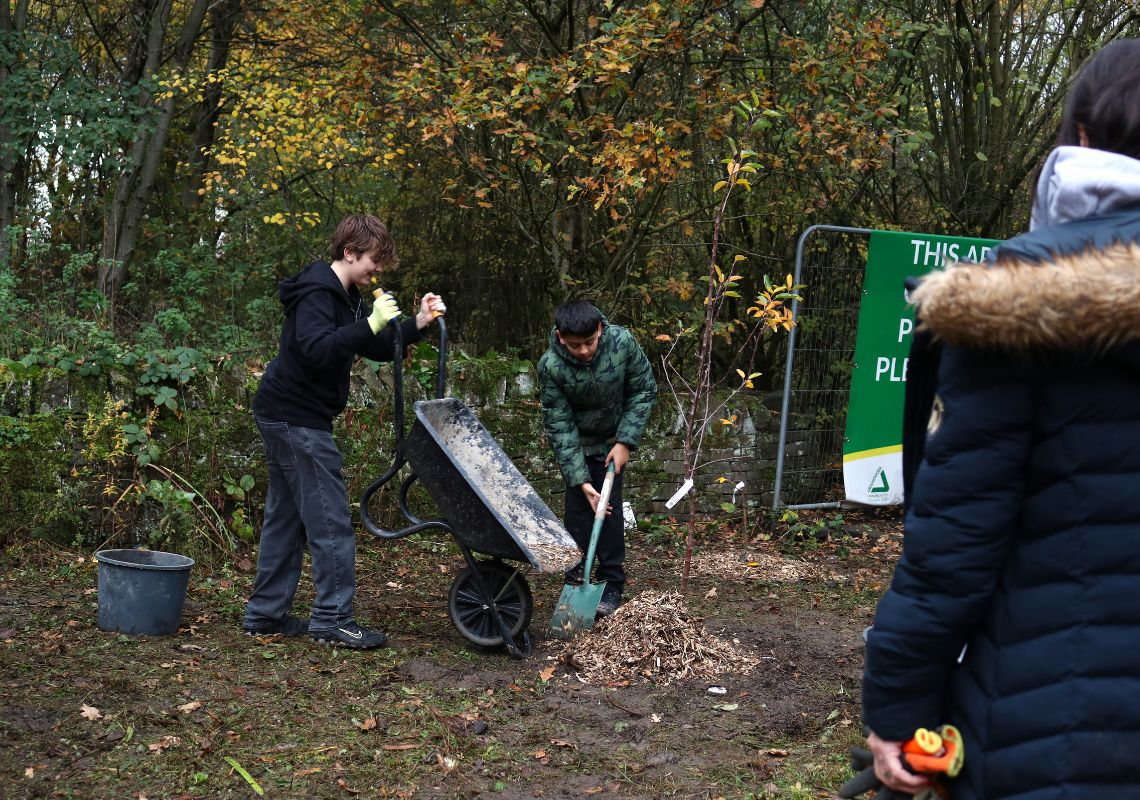 Adding woodchips to the trees