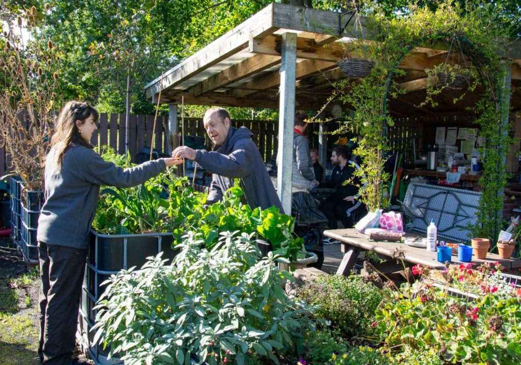 Green social prescribing sessions