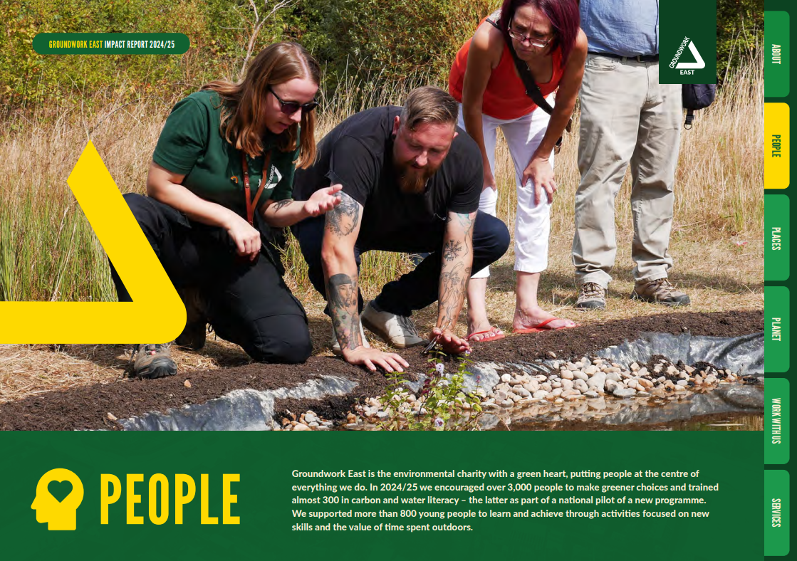 People looking into a pond they have made