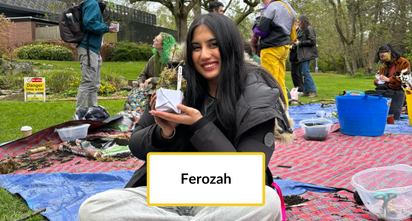 Ferozah button image