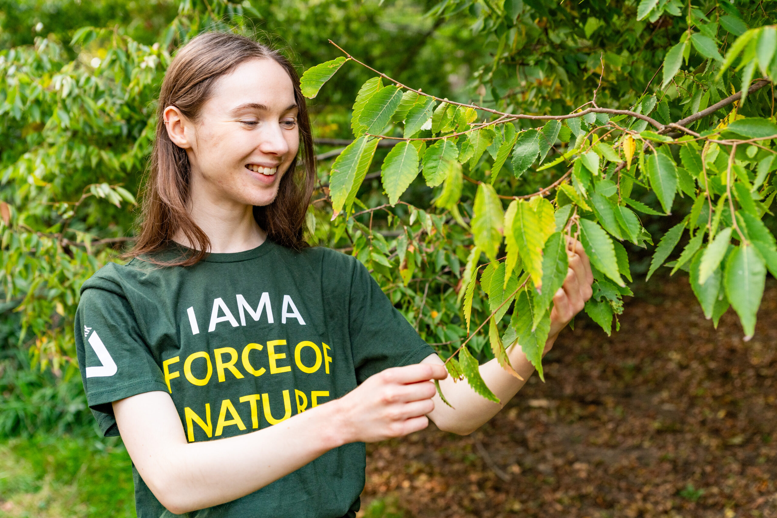 New to Nature trainee holding leaves on a tree