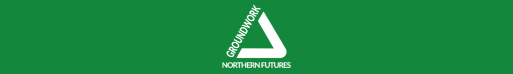 Northern Futures logo