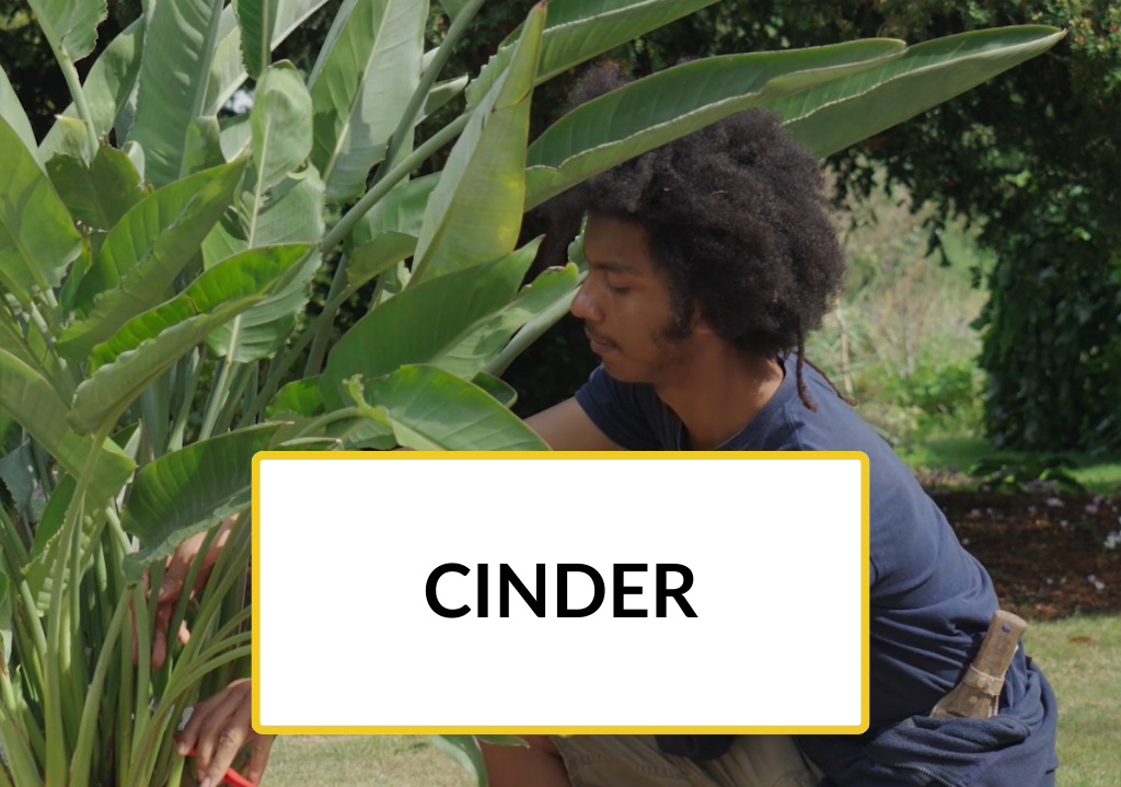 Cinder tile