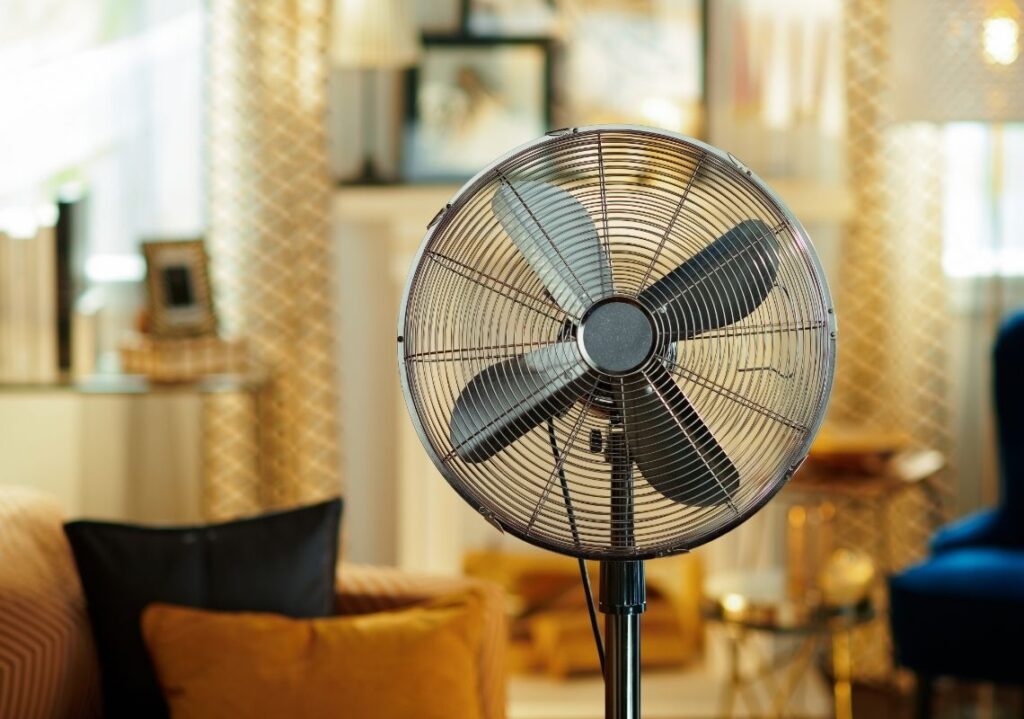 Picture of a fan