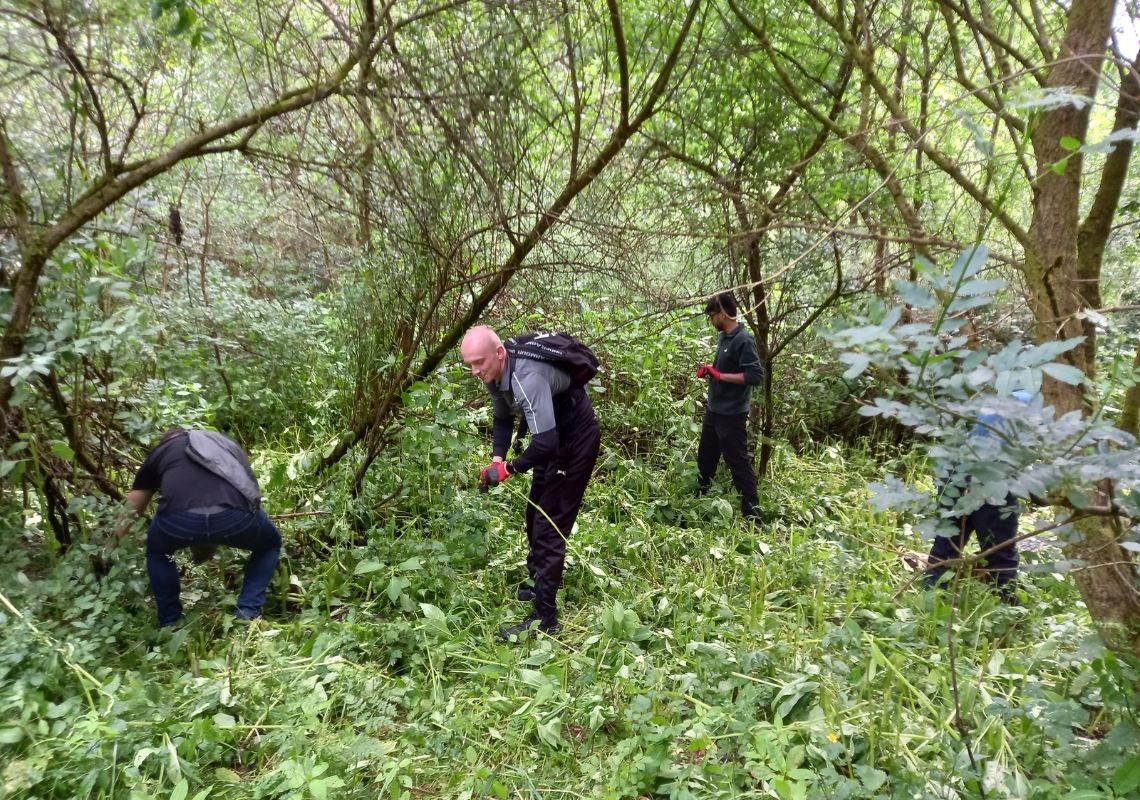 Travis helping with invasive species removal