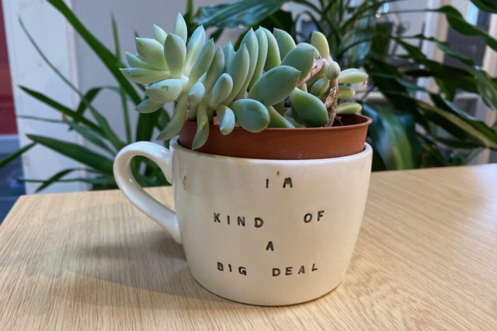 Plant in a mug