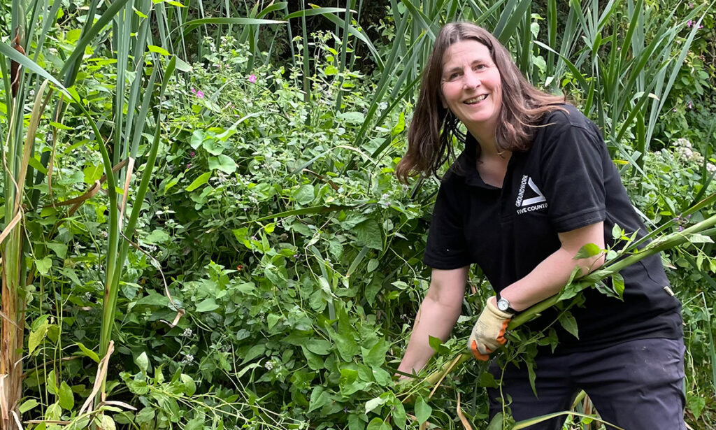Brunette woman with black T-shirt and work gloves holding plant, surrounded by greenery and smiling at the camera.