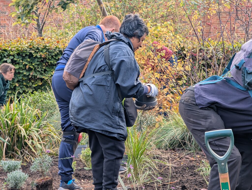 lloyd park volunteer gardening 