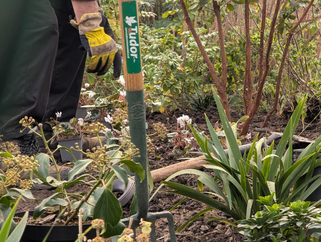 Lloyd park volunteer gardening