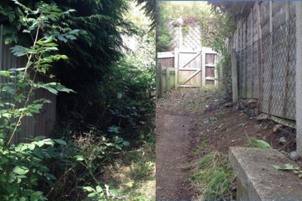 Small acts, big impact: Green Aiders garden rescue volunteering opportunities across Hertfordshire