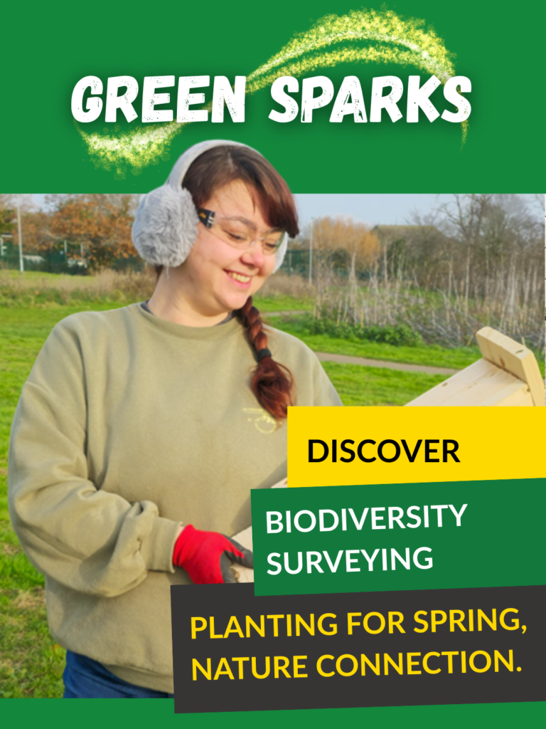 Project Ad - Green sparks
