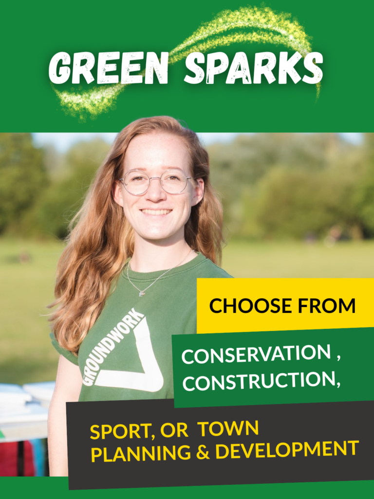 Project Ad, Green Sparks