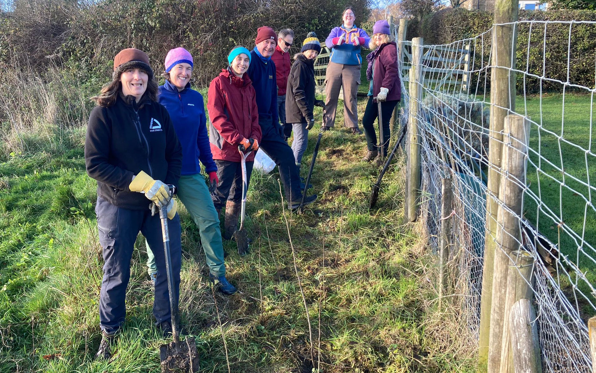 Group of people with shovels planting hedgerow whips.
