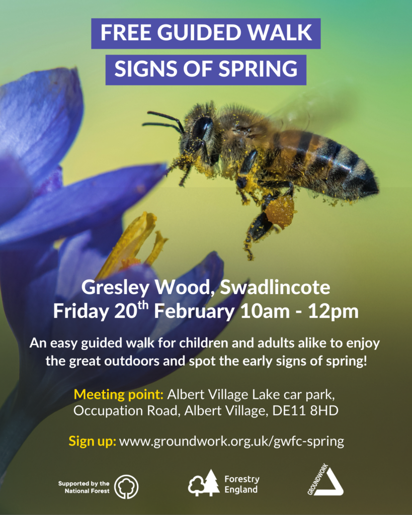 Poster with purple-blue crocus and bee with pollen. White text in blue background 'free guided walk signs of spring' with white and yellow text underneath.
