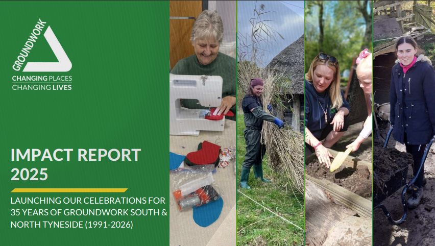 2025 impact report cover