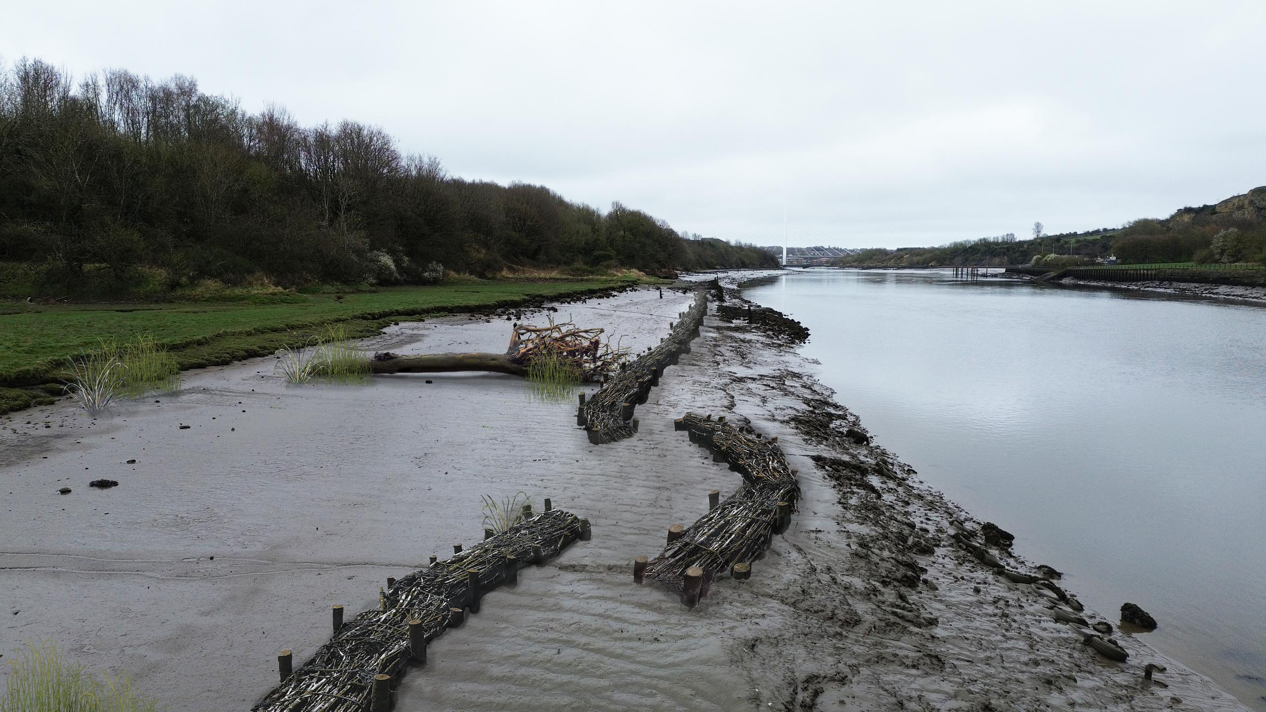 environmental project on the banks of the River Wear