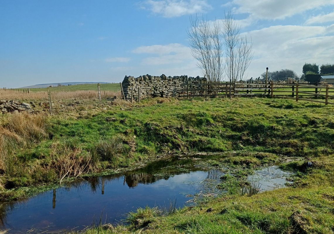Natural flood manage at a local farm