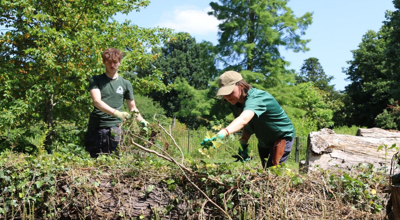 PRESS RELEASE: Groundwork London Secures New Funding for the Green Space Skills Hub to make the Green Space Sector More Inclusive to Londoners