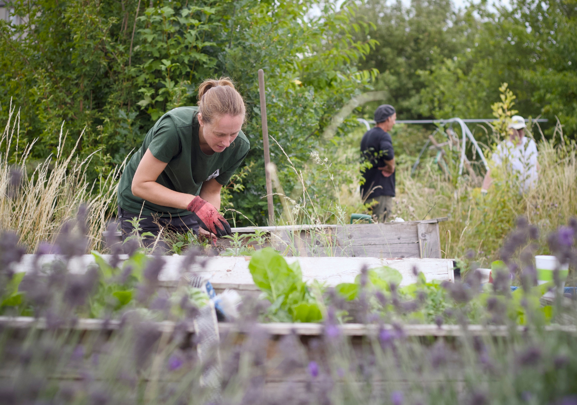 Lady sat kneeling at raised bed of flowers, with two people in the distance and out of focus