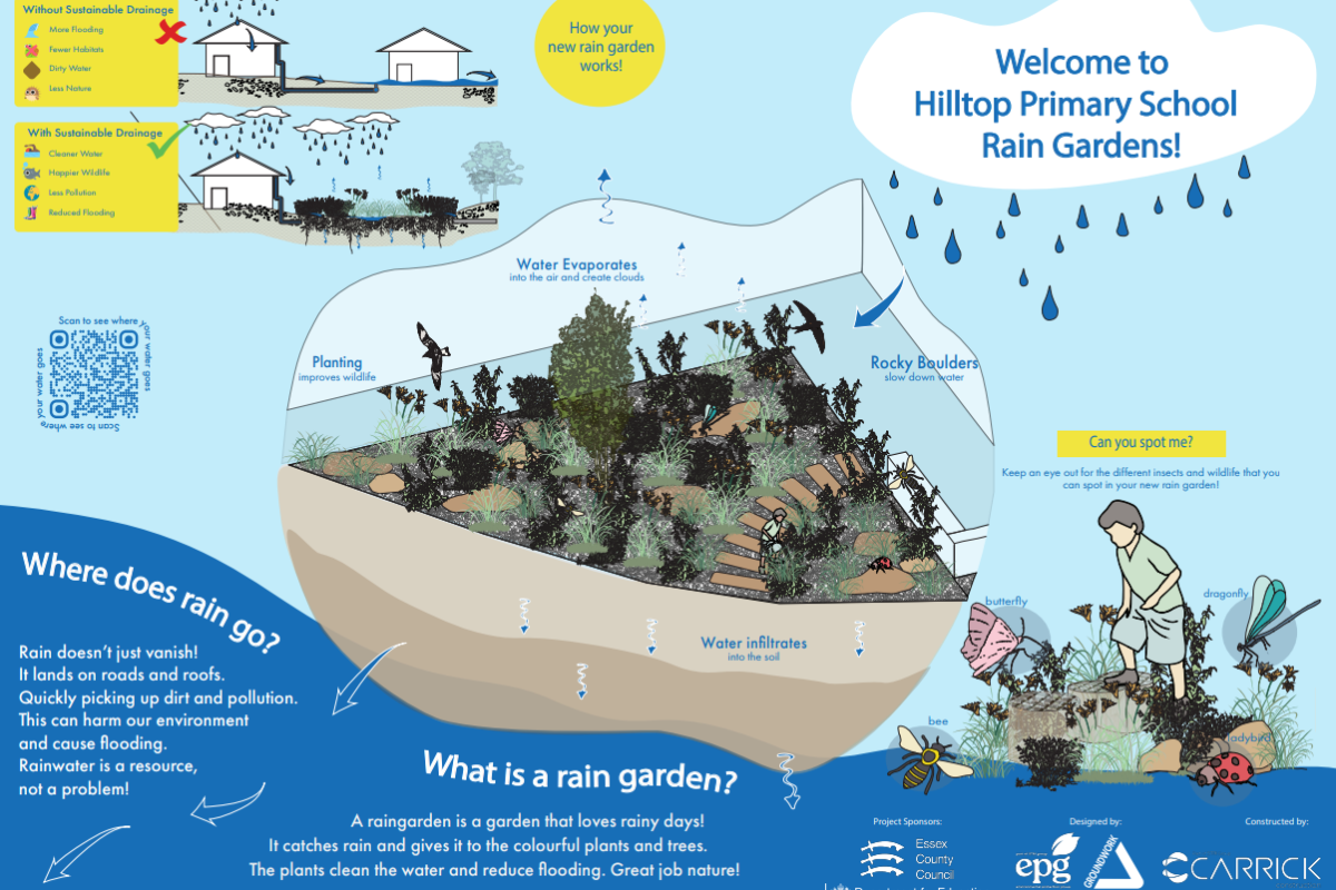 World Water Day: How Rain Gardens Are Helping Schools Build Water Resilience