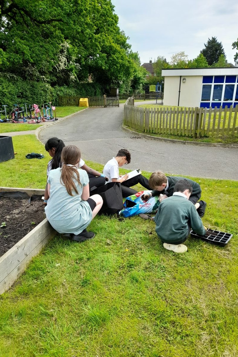 Puils having an outdoor learning lesson near a veg patch