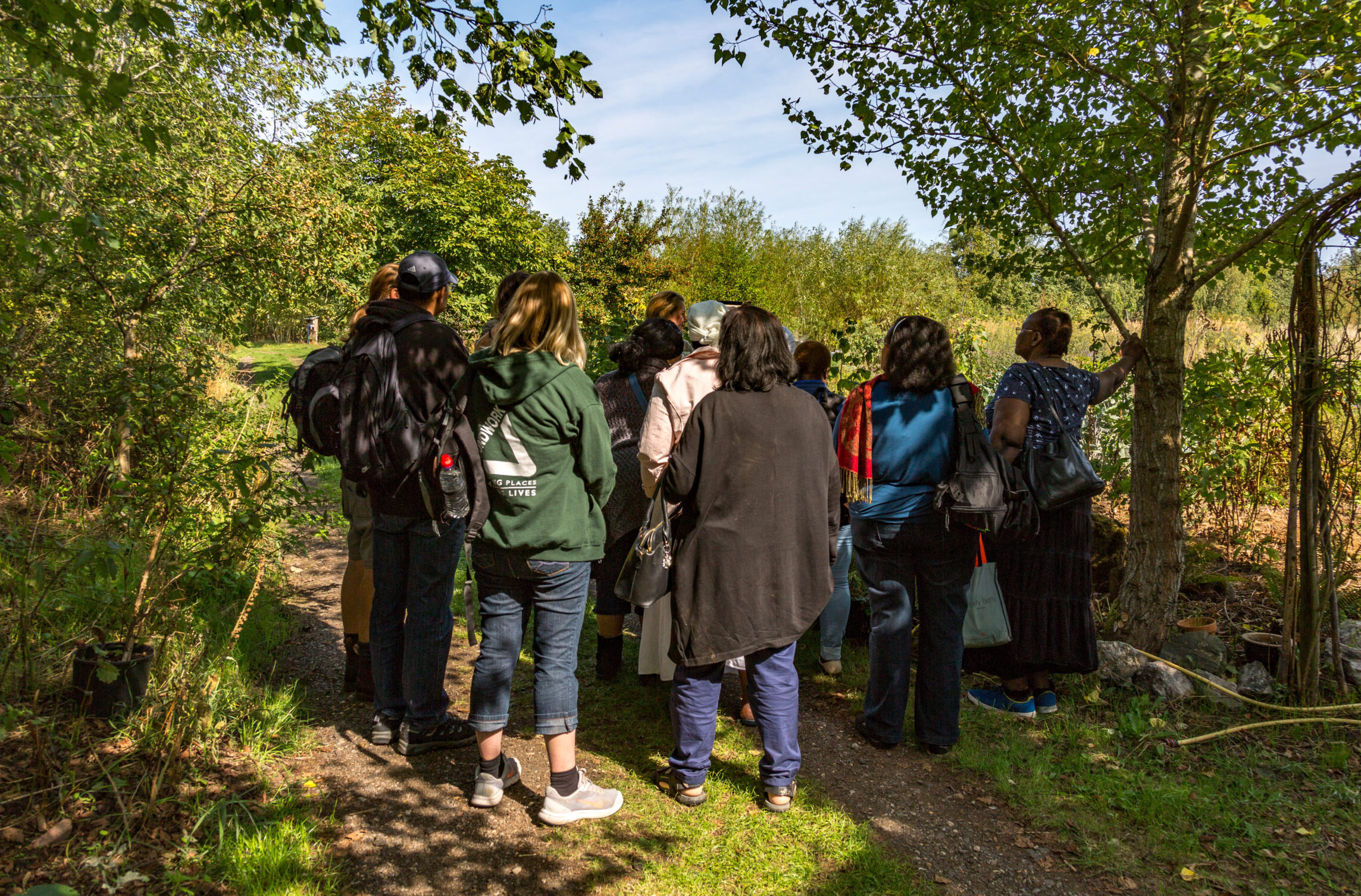 Volunteers on a walk in the woods