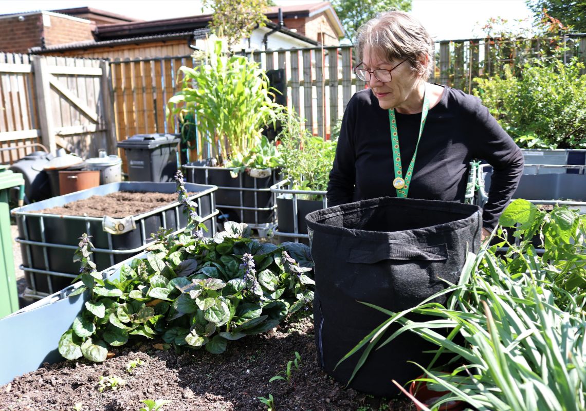 Julie at Green Thumbs allotment