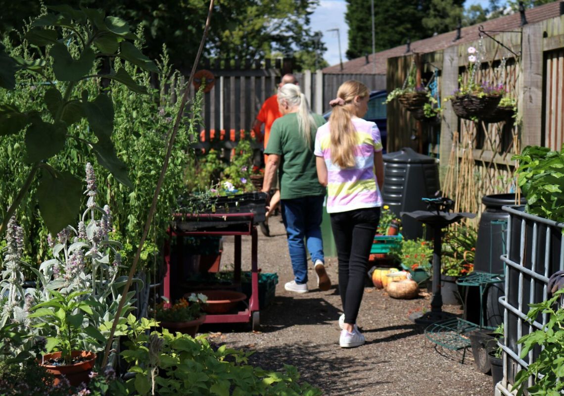 Green Thumbs community allotment