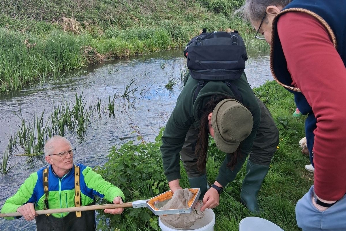 3 men pictured. 1 in the river with a net, 2 on the bank with a bucket