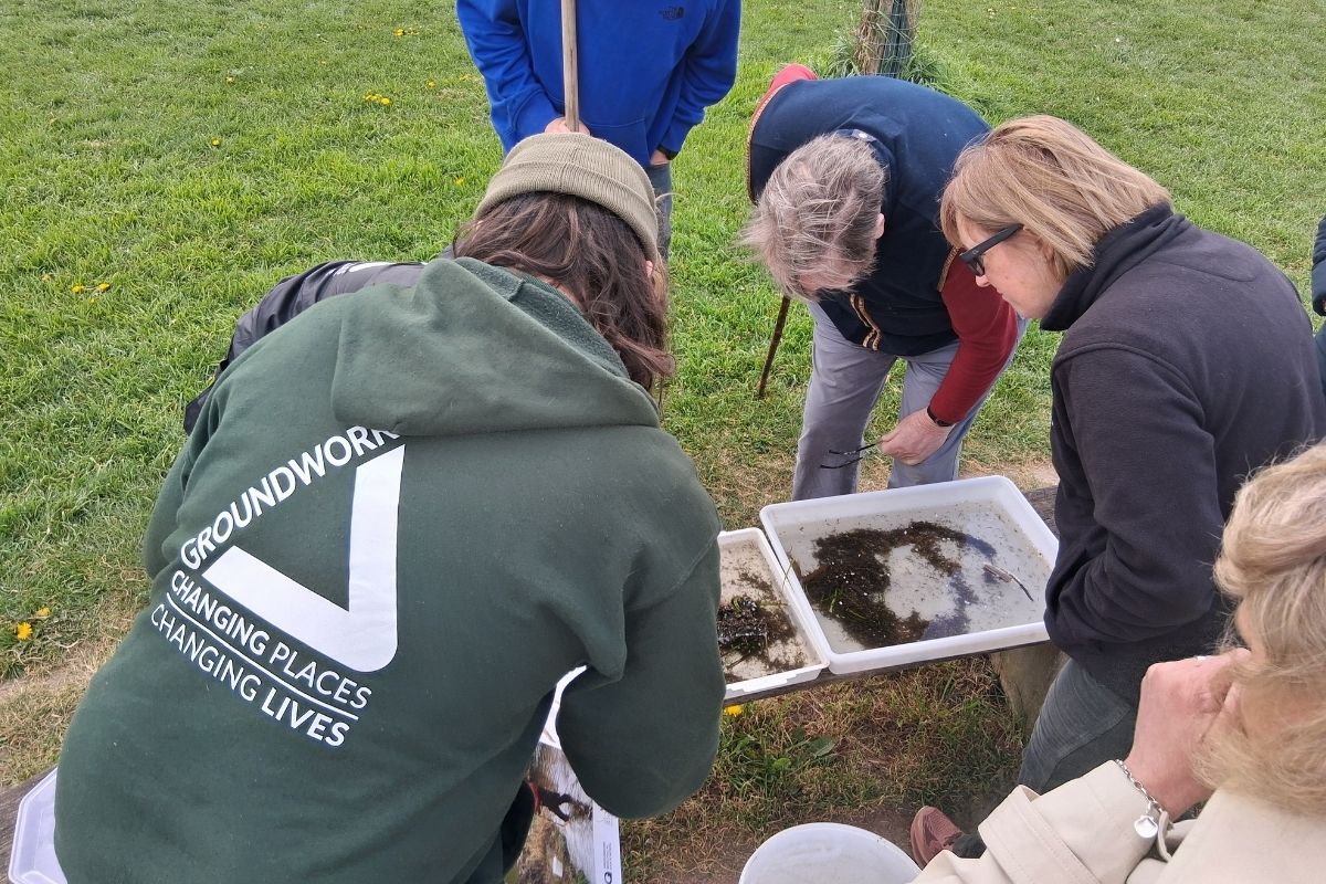 Riverfly sampling inspection