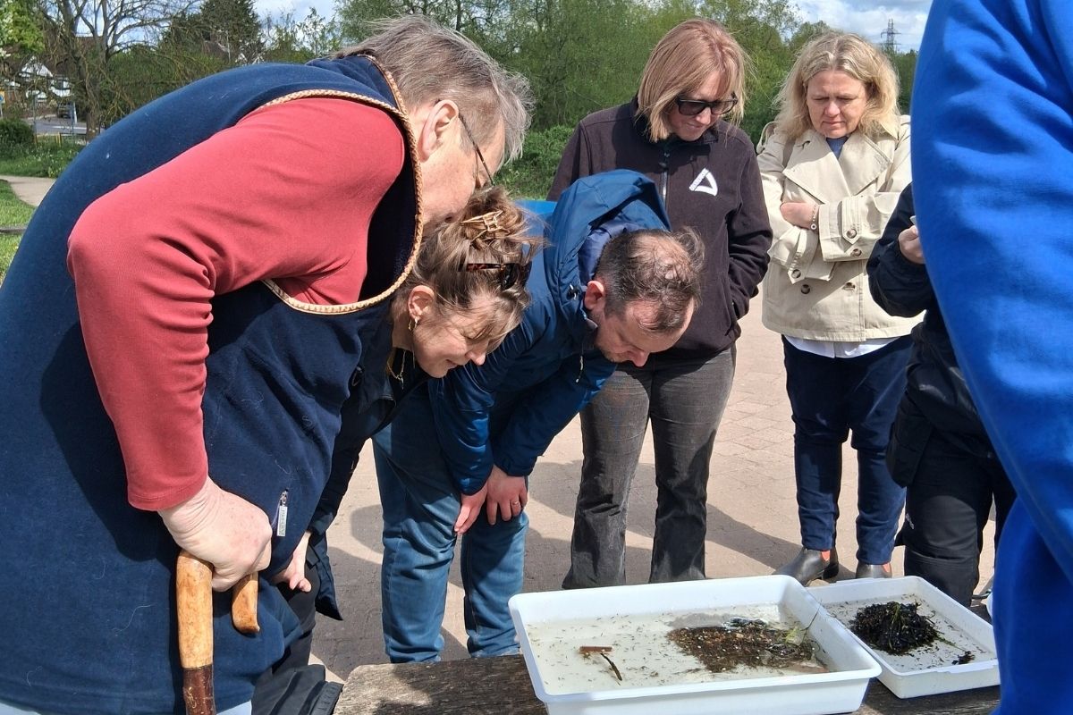 close-up group of people studying riverfly sampling