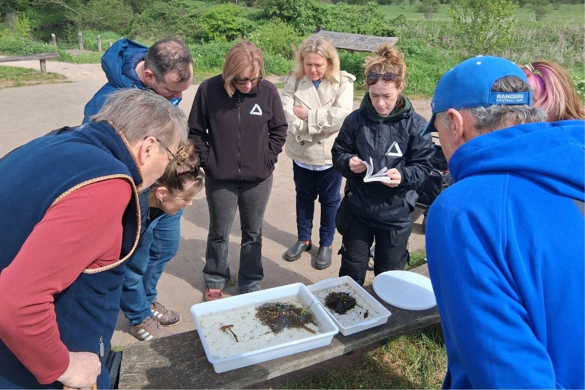 Group of people examining riverfly sampling